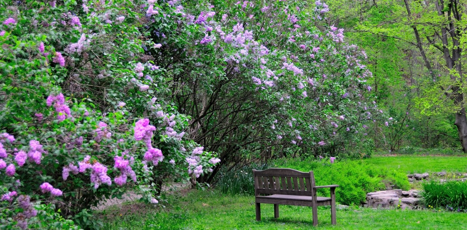 God's Rest - Refreshing Us to Labor in the LORD