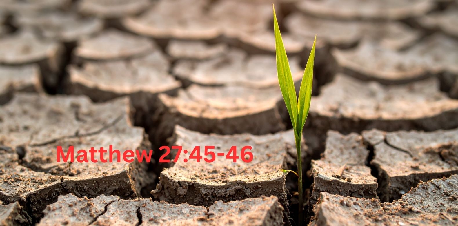 The Separation we cannot fully understand - The Life we Now live in Christ