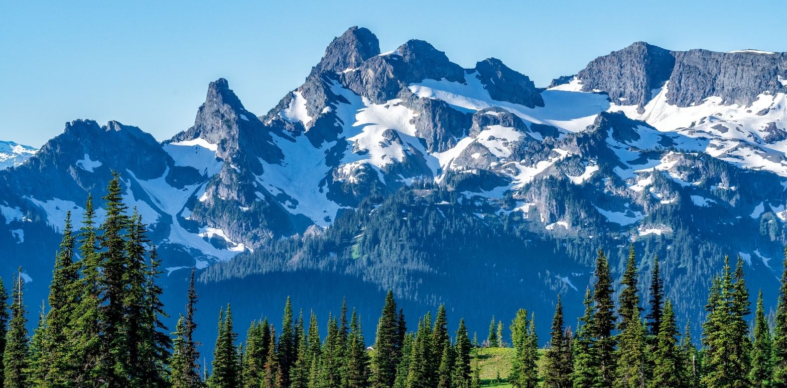 Quenched by Streams in the Wilderness: Faith: Move Your Mountains