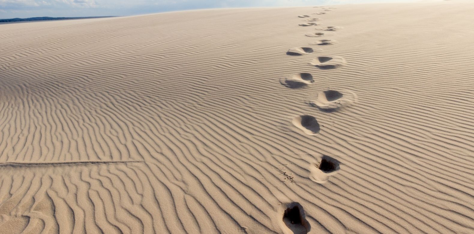 Wilderness is a Spiritual Condition: Discipline, Trust and Battles