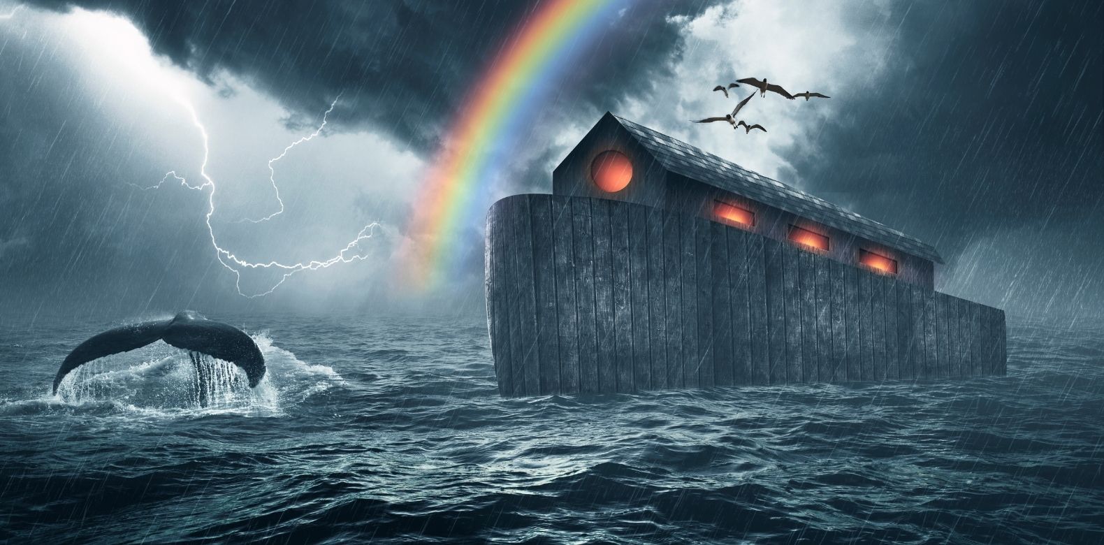 God Appointed You, No Storm can Destroy You