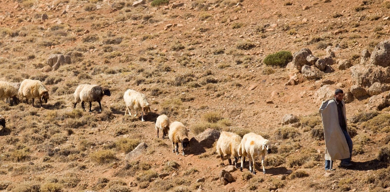 The Shepherd's Command: Walk on Water in the Midst of the Boisterous Wind
