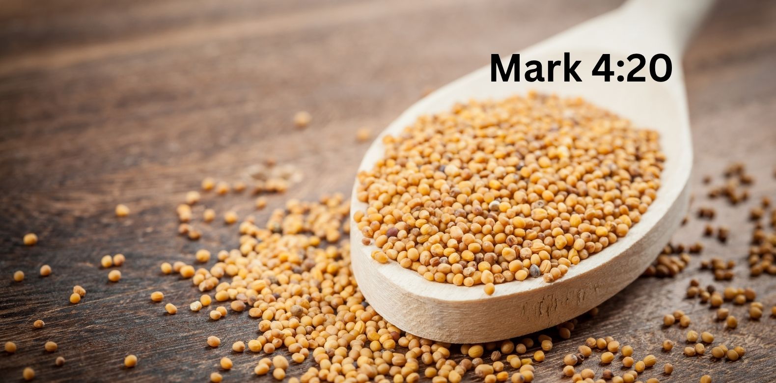The Journey as a mustard seed in the kingdom of God