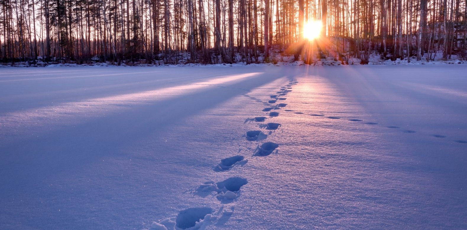 Holy Spirit: Walk in the Spirit