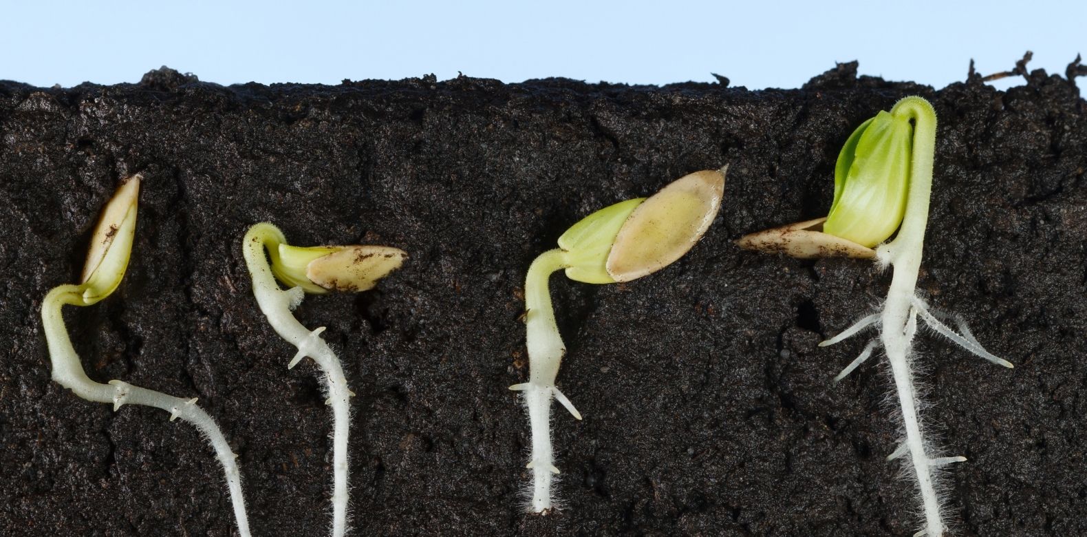Super Natural Strength in the Resurrected Life
