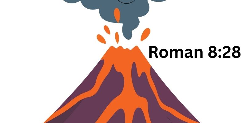 Romans 8:28