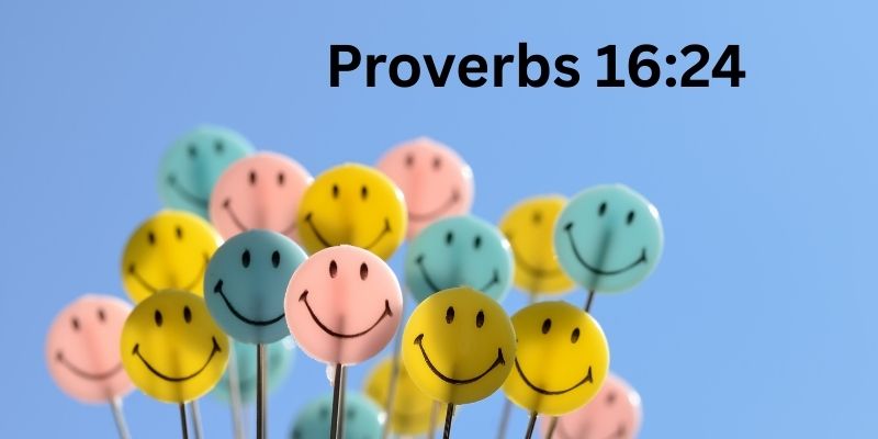 Proverbs 16:24